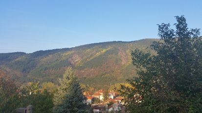 Work near the nature