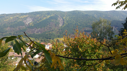 Work near the nature